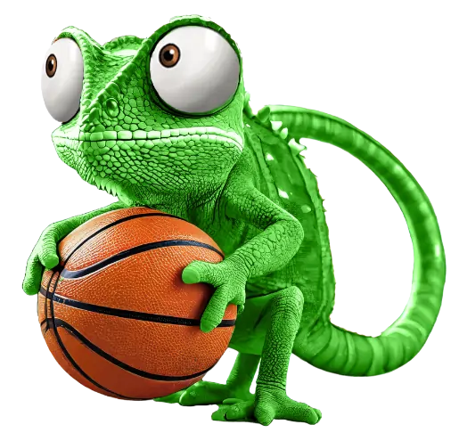 cameleon-basket