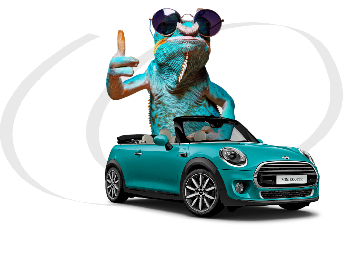 mini.webp